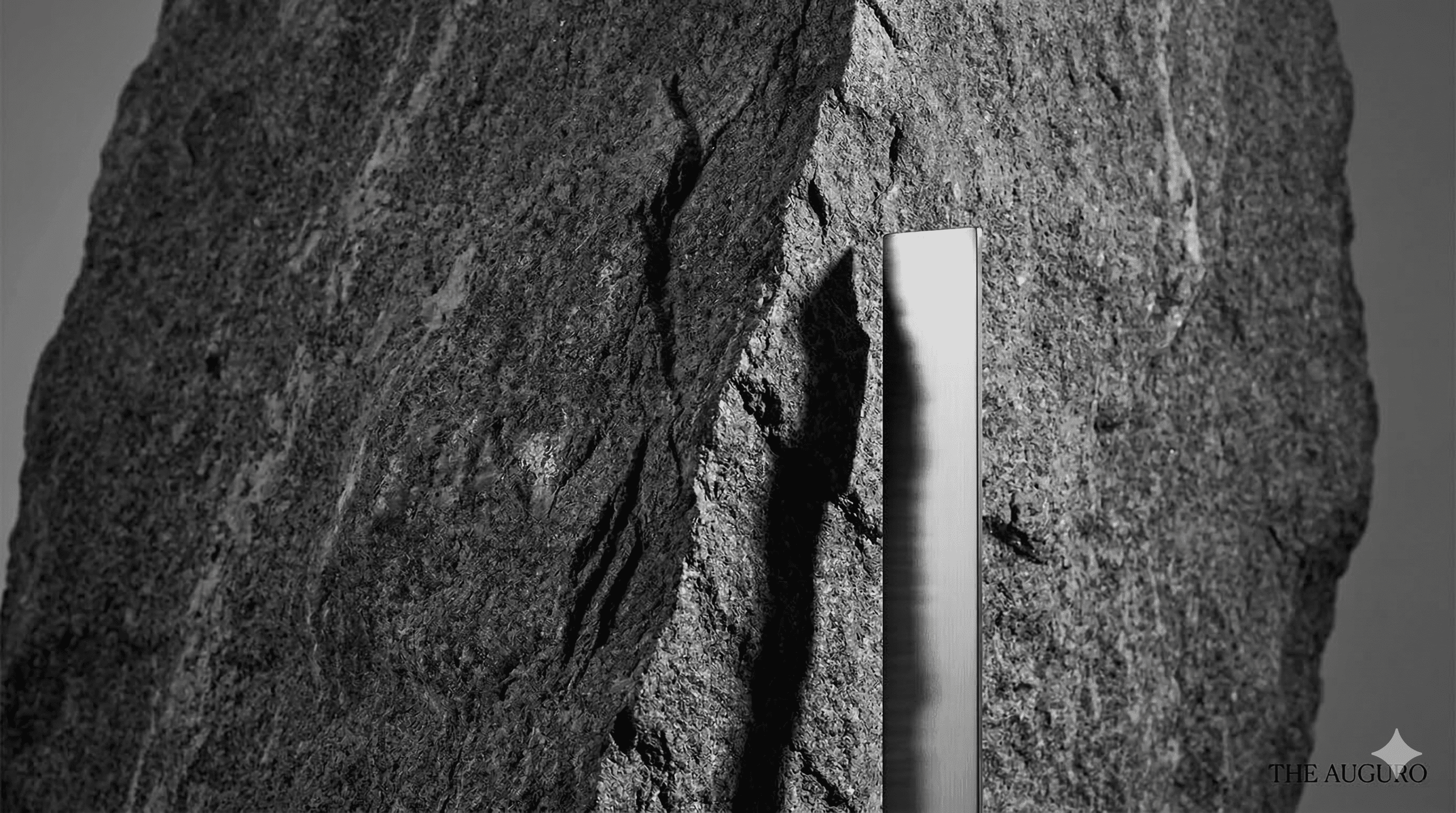 What the Novel Cannot Do